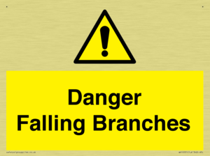 Danger Falling Branches